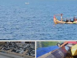 Nelayan Banggai Laut Tertekan Kelangkaan BBM Subsidi, Program Pemerintah Dipertanyakan