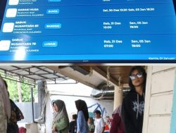 Informasi Jadwal Kapal Tol Laut Mengecohkan Pemudik dari Gorontalo-Luwuk-Banggai Laut