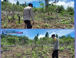 Dukung Swasembada Pangan, Bhabinkamtibmas Polsek Tinangkung Pantau Perkembangan Kebun Jagung di Desa Kautu.
