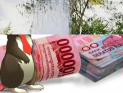 Indikasi Gelapkan Pajak Rp220 Juta, Kades & Bendes Sonit Diminta Segera Diperiksa