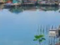 Minimnya Koordinasi Lintas Sektor, Hambat Optimalisasi Potensi Perikanan Banggai Laut