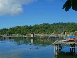 Dugaan Penyalahgunaan Dana PBB oleh Oknum Kades Kasuari  Bokan Kepulauan