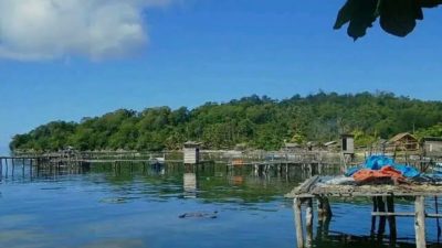 Dugaan Penyalahgunaan Dana PBB oleh Oknum Kades Kasuari  Bokan Kepulauan