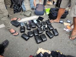 Polda Sulteng, Bekuk 6 Kurir Sabu, di Bandara Mutiara Sis Al-Jufri Palu, Sita 16 Kilogram Narkotika,