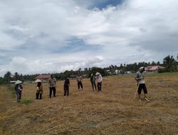 Polisi Turun ke Lahan, Kapolsubsektor Mepanga Pimpin Penanaman Jagung 2 Hektare Bersama Warga