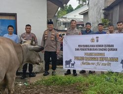 Polsek Banggai Gelar Penyembelihan & Distribusi Daging Qurban Idul Adha 1447 H