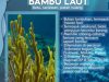Maraknya Eksploitasi Bambu Laut di Banggai Laut Resahkan Nelayan, Kapolda Sulteng Diminta Turun Tangan