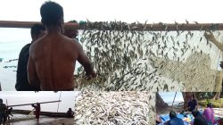 SOSODEK TAK BOLEH MATI. ‎Dari Kuah Asam Para Pejuang.  ‎Desa Mbeleang Menghidupkan Kembali Sejarah yang Hampir Terlupakan
