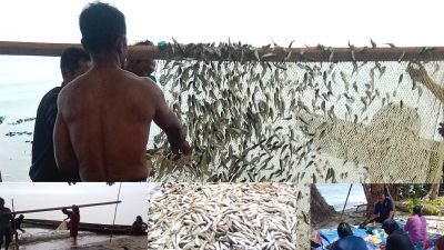SOSODEK TAK BOLEH MATI. ‎Dari Kuah Asam Para Pejuang.  ‎Desa Mbeleang Menghidupkan Kembali Sejarah yang Hampir Terlupakan