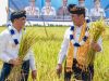 Gubernur Sulteng & Mentan Hadiri Panen Raya di Banggai, Pertanian Modern Terintegrasi Dicanangkan