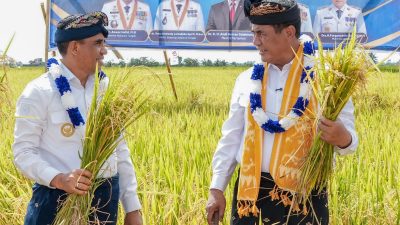 Gubernur Sulteng & Mentan Hadiri Panen Raya di Banggai, Pertanian Modern Terintegrasi Dicanangkan