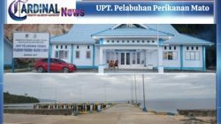 PELAYANAN KESYABANDARAN PP MATO DIPERKUAT, KESELAMATAN KAPAL & TERTIB ADMINISTRASI JADI PRIORITAS