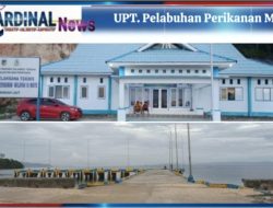 PELAYANAN KESYABANDARAN PP MATO DIPERKUAT, KESELAMATAN KAPAL & TERTIB ADMINISTRASI JADI PRIORITAS